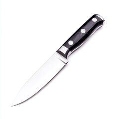 A professional kitchen knife with a sleek, sharp blade and an ergonomic handle. Perfect for chefs and home cooks to enhance their culinary skills and precision in food preparation.