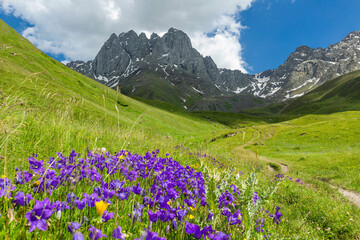 Hiking trail to Chaukhi mount from the village of Juta. Breathtaking landscape with flowers.