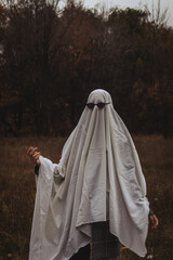 A person draped in a white sheet stands in a field, wearing sunglasses and making a peace sign. Surrounding trees show autumn leaves, creating a playful and quirky vibe.