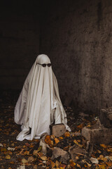 A figure draped in a white sheet stands in a dimly lit room, blending with the eerie ambiance. Sunglasses obscure its eyes, while autumn leaves cover the ground.