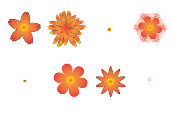 Color flowers set.