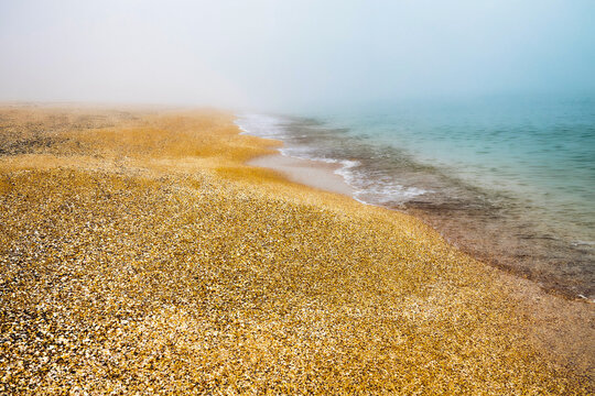 Mother-of-pearl, pearl mist on the morning seashore, which is covered with shells. Soft glow. Sea walk occasion