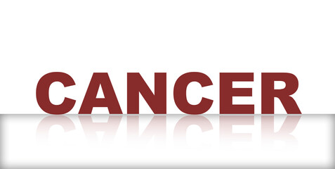 the concept of the word 