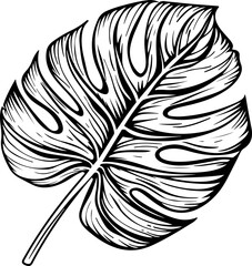 Monstera Leaf Outline Illustration