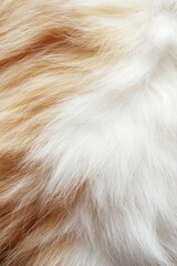 Soft, fluffy fur; tan and white blend.
