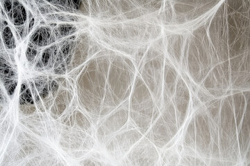 Obraz premium Fine cobweb texture, intricate natural patterns of silky white threads glistening with dew