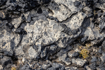 Coarse volcanic ash texture, dense black and gray particles with rugged edges, scattered naturally on a rocky surface, raw and untamed