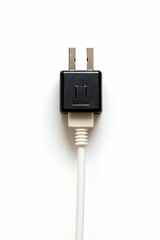 Black plug, white cord,  electrical connector.