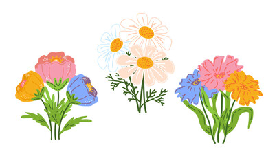 Set of wildflower bouquet. For eco-themed designs, greeting cards, invitations, posters, or nature-related projects. Vector illustration