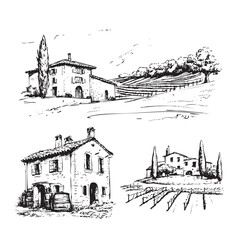 Vineyards landscapes sketched abstract digital illustration