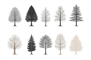 Kreative Illustrationen verschiedener Baumarten

