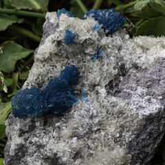 Vibrant blue cavansite crystals on a contrasting white matrix in natural setting