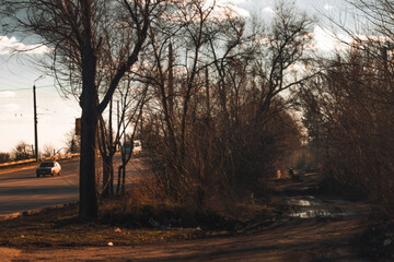 A tranquil roadside scene captures leafless trees lining the road, vehicles passing by, and a peaceful waterway reflecting soft clouds. Sunlight casts gentle shadows, enhancing the serene atmosphere.