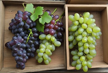 Freshly Harvested Grapes Packed in Wooden Boxes for Sale