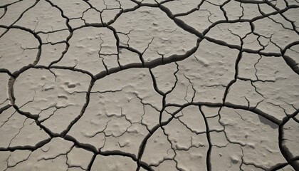 Patterns of Parched Earth: The Impact of Drought on Our Planet