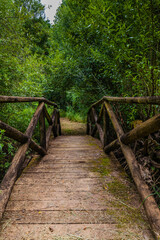 Obraz premium A rustic wooden bridge leads through a lush, green forest, inviting exploration