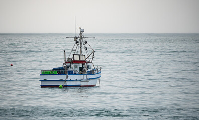 A small fishing boat in the water ocean new zealand