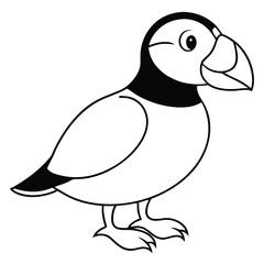 puffin outline, coloring page, silhouette vector 