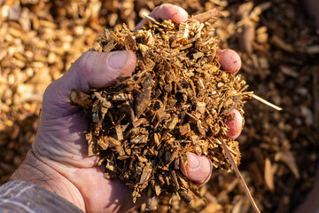 Garden prunings after being shredded by a chipper 