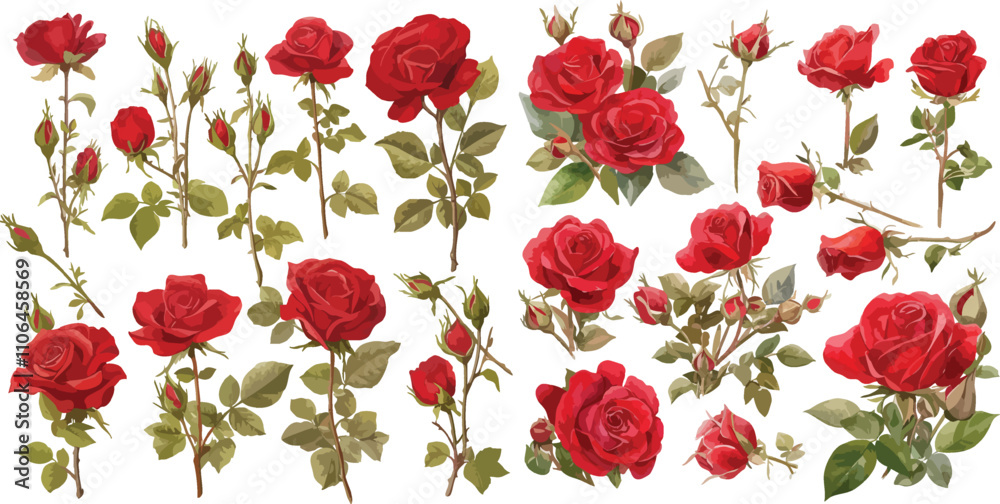 Poster red rose watercolor clipart