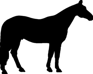 horse silhouette vector