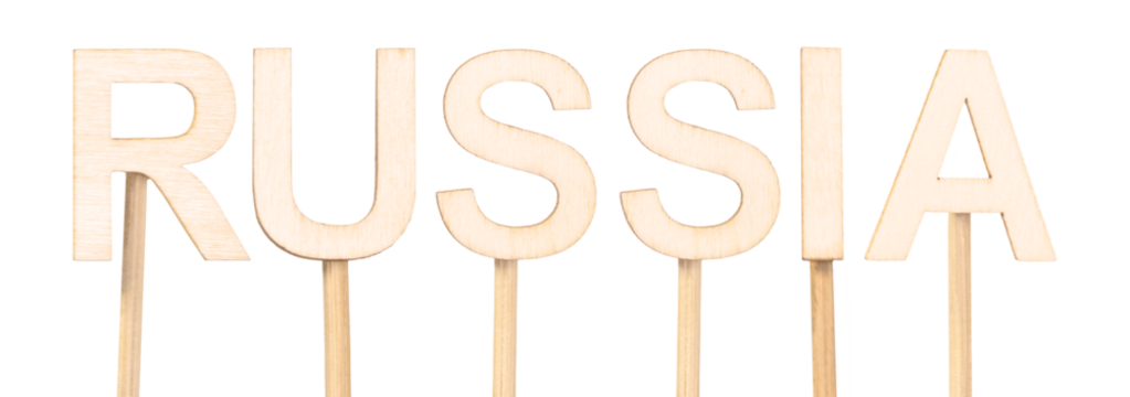 Sustainable decoration: wooden letters forming the name Russia. Countries of the world.