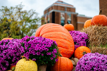Thanksgiving, and Halloween decor in Montreal Botanic Park 