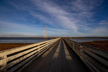 Naklejka premium pier in the sea