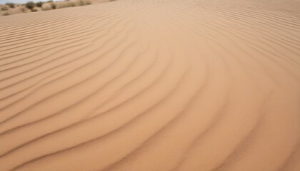 Naklejka premium Beauty of Natural Texture in Desert Sand Dunes