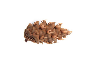 Cone of Douglas fir, Pseudotsuga menziesii (British Columbian pine, Puget Sound pine, Douglas spruce, Oregon pine) on white background