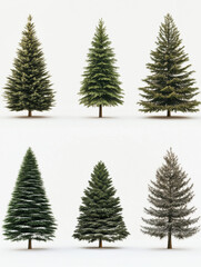 Obraz premium christmas trees, all diferent style and type, high quality, neutral tones, plain and white background
