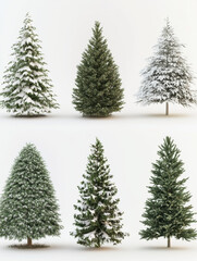 Fototapeta premium christmas trees, all diferent style and type, high quality, neutral tones, plain and white background