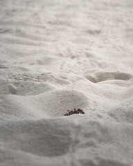 inscription on the sand