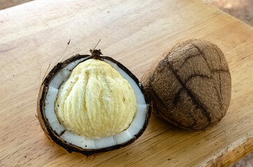 A Broken Coconut with an Embryo, and a Whole Coconut Endosperm.
