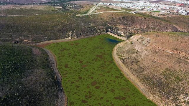 Vista a&eacute;rea de una presa con vegetaci&oacute;n emergente 