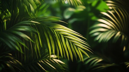 Lush green tropical foliage in the sun.