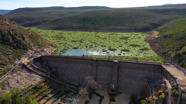Vista a&eacute;rea de una presa con vegetaci&oacute;n emergente 