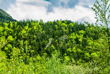 Crossing the Pyrenees through the Portalet pass at the beginning of November