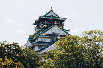 Fototapeta premium Osaka Castle, Osaka city, Japan, summer landscape vibrant view with a blue sky, Osakajo castle building, Kansai region, Osaka prefecture, travel to Japan