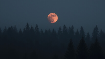 moon in the night, full moon over the forest, moon in the forest