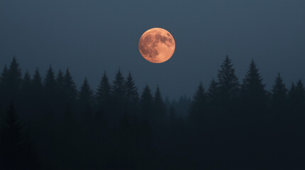 moon in the night, full moon over the forest, moon in the forest