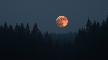 moon in the night, full moon over the forest, moon in the forest