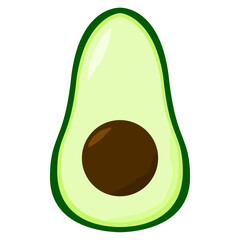avocado illustration 