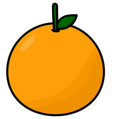 orange fruit illustration