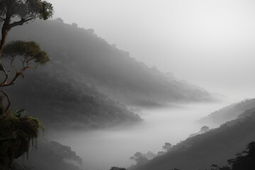 Fototapeta premium Painted - Foggy Environment Landscape - Nature