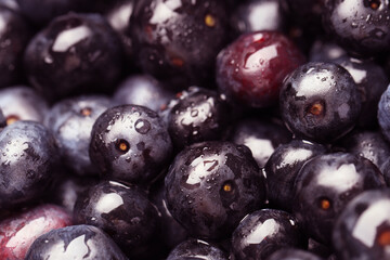 Wet acai berries as background, closeup view