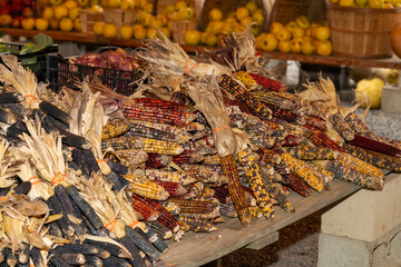 Colorful Varieties of Dried Corn at a Local Market in Autumn