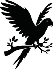 Parrot silhouette. Parrot black icon on white background