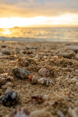 beach at sunset