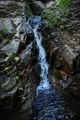 Mountain spring cascade